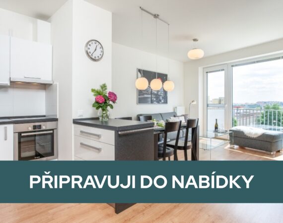 Příprava do prodeje bytu 2KK v pražských Stodůlkách