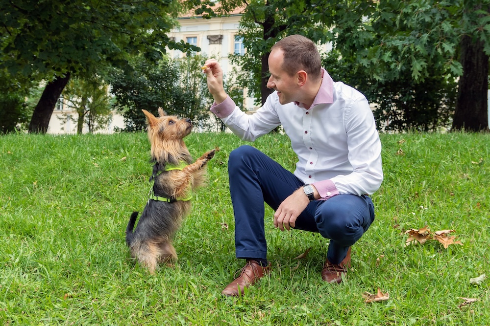Malý pes se svým majitelem – téma domácích mazlíčků v nájemním bytě